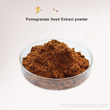 Extrait de graines de grenade organique 50-70% polyphénol